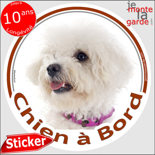 Bichon Fris Sticker Autocollant Rond Chien Bord Cm