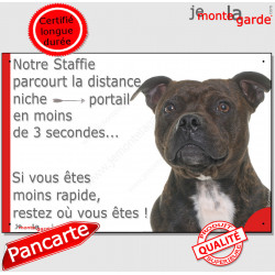 Staffie bringé Tête, plaque humour "parcourt distance Niche - Portail en 3 secondes, moins rapide" pancarte panneau drôle photo