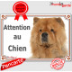 Chow-Chow fauve orange, plaque portail "Attention au Chien" pancarte panneau photo