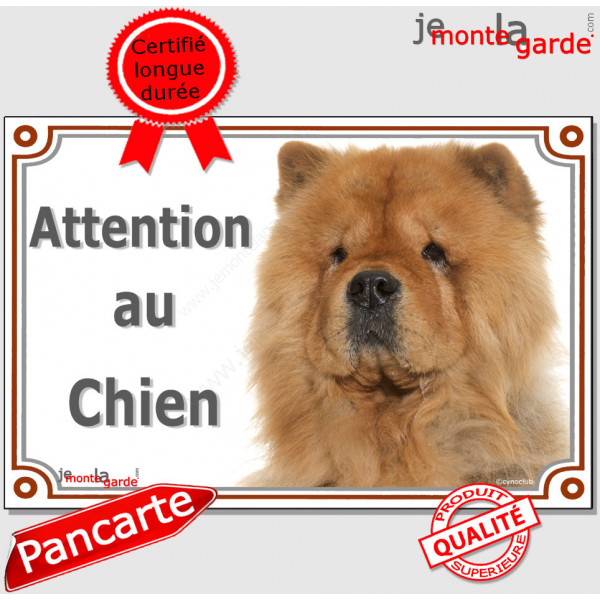 Chow-Chow fauve orange, plaque portail "Attention au Chien" pancarte panneau photo