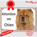 Chow-Chow, plaque portail "Attention au Chien" 24 cm LUX