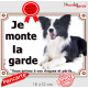 Border Collie noir et blanc couché, Panneau Portail "je monte la garde, risques périls" plaque affiche pancarte photo