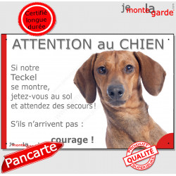 Teckel poils lisses fauve marron, plaque portail humour "Attention au chien, Jetez Vous au Sol, courage" pancarte drôle panneau