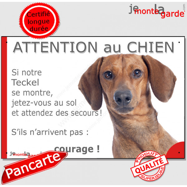 Teckel poils lisses fauve marron, plaque portail humour "Attention au chien, Jetez Vous au Sol, courage" pancarte drôle panneau