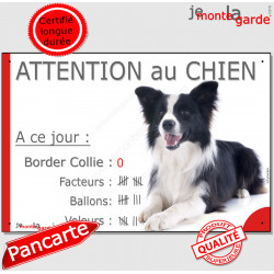 Border Collie noir et blanc poils longs couché, plaque portail humour "Attention au chien, Nombre de Voleurs, ballons, facteurs"