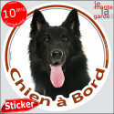 Groenendael, sticker voiture rond "Chien à Bord" 2 tailles D