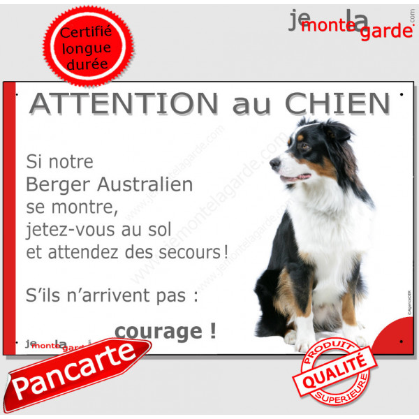 Berger Australien tricolore noir assis, plaque portail humour "Attention au Chien, Jetez Vous au Sol" pancarte panneau aussie