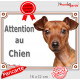 Pinscher Fauve Tête, Plaque portail "Attention au Chien" panneau affiche pancarte photo