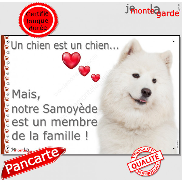 Plaque Samoyède Portail Attention "un chien est un Membre de la Famille" affiche panneau photo