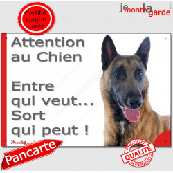 Berger Belge Malinois, plaque portail humour "Attention au Chien, Entre qui veut, sort qui peut !" photo pancarte panneau drôle