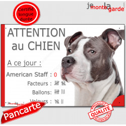 Amstaff Bleu Tête, Pancarte Portail drôle "Attention au chien, nombre de Facteurs, Voleurs, ballons" plaque am-staff Staff gris