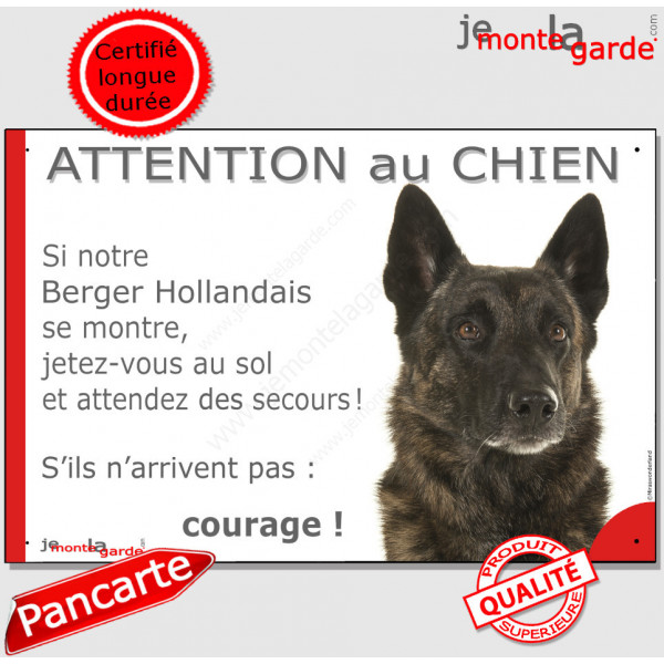 Berger Hollandais tête, plaque humour "Attention au Chien, Jetez Vous au Sol, courage" pancarte panneau courage photo drôle