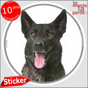 Berger Hollandais, sticker photo rond "photo" 14 cm