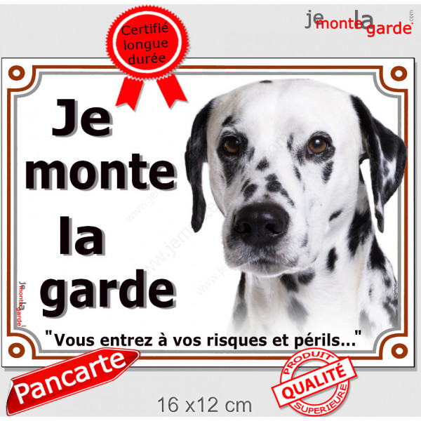 Dalmatien Tête, plaque portail "Je Monte la Garde, risques périls" panneau photo affiche pancarte attention au chien