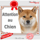 Shiba Inu fauve Tête, plaque portail "Attention au Chien" pancarte panneau orange marron photo