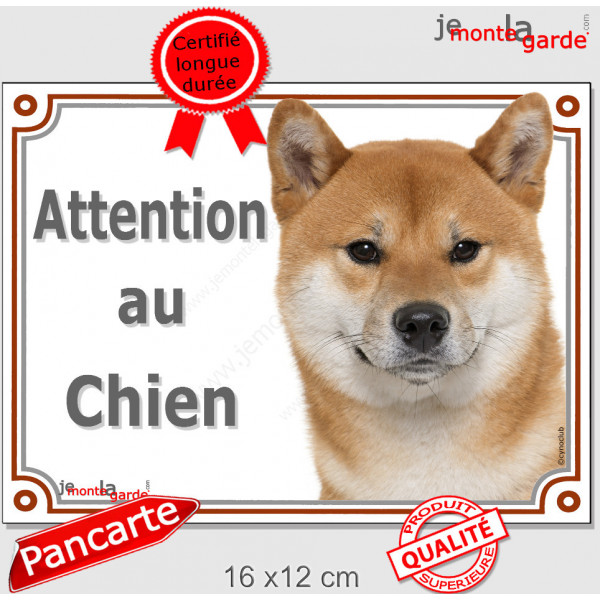 Shiba Inu fauve Tête, plaque portail "Attention au Chien" pancarte panneau orange marron photo