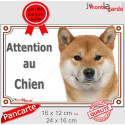 Shiba Inu fauve, plaque portail "Attention au Chien, risques périls" 2 tailles LUX D