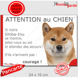 Shiba Inu fauve, plaque portail humour "Attention au Chien, Jetez Vous au Sol, courage" pancarte panneau drôle photo