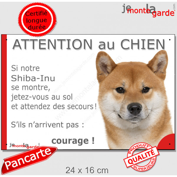 Shiba Inu fauve, plaque portail humour "Attention au Chien, Jetez Vous au Sol, courage" pancarte panneau drôle photo