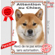 Shiba-Inu fauve marron Tête, plaque "Attention au Chien, interdit sans autorisation" pancarte panneau photo