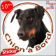 Dobermann noir et feu, sticker autocollant rond "Chien à Bord" Disque adhésif vitre voiture chien photo