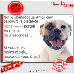 Bouledogue Américain blanc fauve, plaque humour "parcourt distance niche portail moins 3 secondes" attention au chien drôle