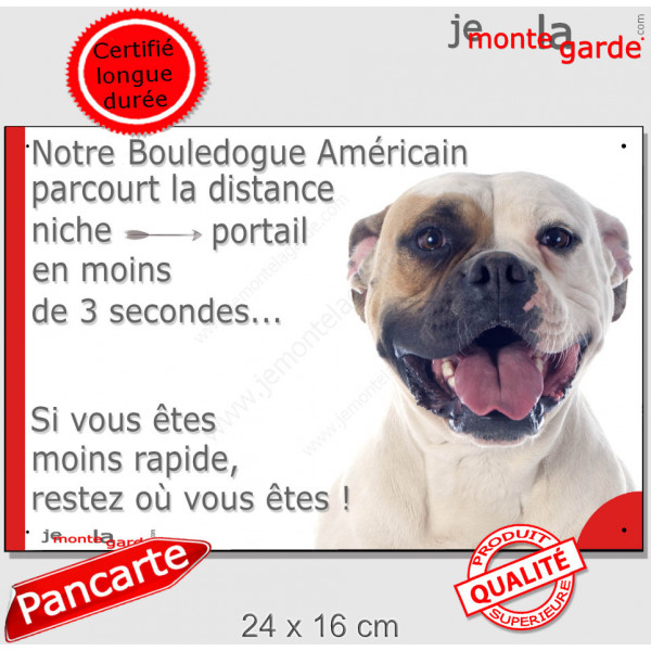 Bouledogue Américain blanc fauve, plaque humour "parcourt distance niche portail moins 3 secondes" attention au chien drôle