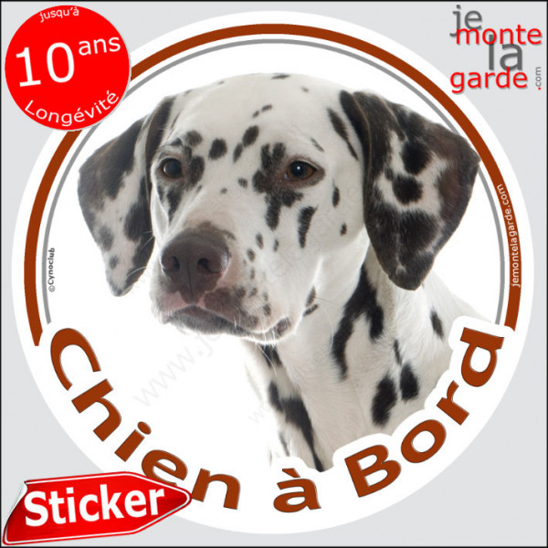 Dalmatien taches noires, sticker autocollant rond "Chien à Bord" Disque photo adhésif vitre voiture chien