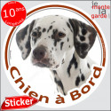 Dalmatien noir, sticker voiture rond "Chien à Bord" 14 cm