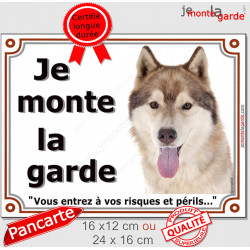 Husky sibérien fauve doré marron, plaque portail "Je Monte la Garde, risques périls" pancarte photo panneau attention au chien