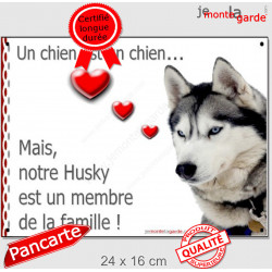 Husky Gris Tête, Plaque Portail un chien est membre de la famille panneau pancarte affiche coeur photo