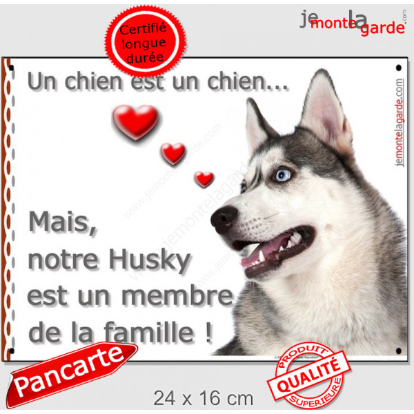 Husky Gris Tête, plaque Portail Attention "un chien est membre de la famille", pancarte panneau affiche photo