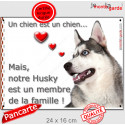 Husky Gris Tête, plaque "Membre de la Famille" 24 cm LOVE