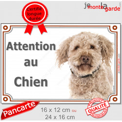 Lagotto Romagnolo Tête, plaque "Attention au Chien" pancarte panneau photo chien d'eau Romagole