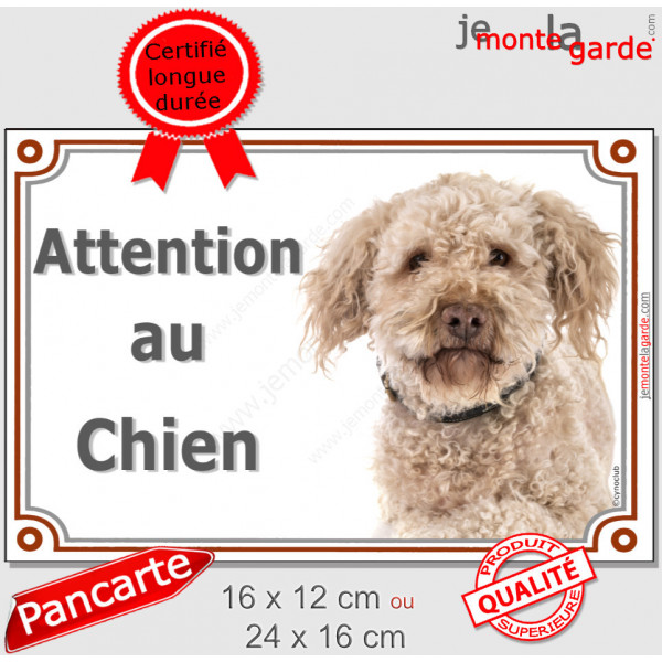 Lagotto Romagnolo Tête, plaque "Attention au Chien" pancarte panneau photo chien d'eau Romagole