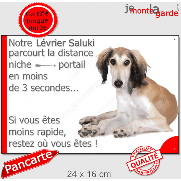 Lévrier Saluki fauve et blanc, plaque humour "parcourt distance niche-portail 3 secondes" photo