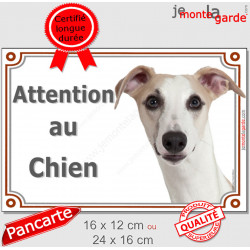 Lévrier Whippet fauve, plaque portail "Attention au Chien" panneau pancarte photo