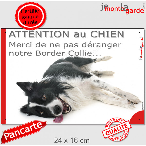 Plaque portail humour "Attention au Chien, Merci de ne pas déranger notre Border Collie" Pancarte photo drôle, panneau marrant