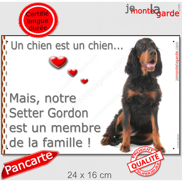 Setter Gordon Assis, photo Portail "un chien est un membre de la famille" pancarte, affiche panneau attention au chien idée cade