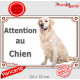 Golden Retriever assis, plaque portail "Attention au Chien" pancarte photo entrée, panneau rue race porte