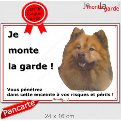 Eurasier fauve, plaque portail "Je Monte la Garde, risque périls" 24 cm ECO