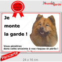 Eurasier fauve, plaque portail "Je Monte la Garde, risque périls" 24 cm ECO