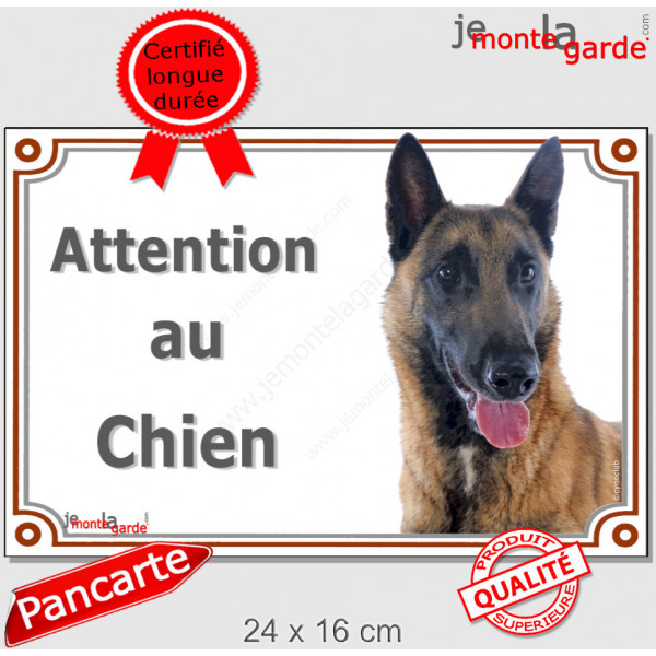 Berger Belge Malinois Tête, plaque portail "Attention au Chien" pancarte panneau photo race