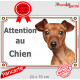 Pinscher Fauve Tête, Plaque portail "Attention au Chien" panneau affiche pancarte photo