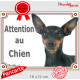 Pinscher noir et feu Tête, plaque portail "Attention au Chien" pancarte panneau photo pinsher