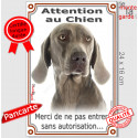 Braque Weimar, plaque portail verticale "Attention au Chien" 24 cm VL