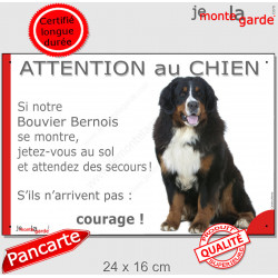 Bouvier Bernois, plaque portail humour "Jetez Vous au Sol, Attention au Chien" 24 cm JET