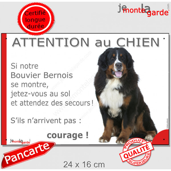 Bouvier Bernois assis, Panneau "Attention au Chien, se montre, jetez-vous sol attendez secours, courage" marrant drôle plaque