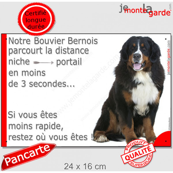 Bouvier Bernois, pancarte portail humour "Attention au chien, niche-portail 3 secondes restez" panneau drôle plaque photo