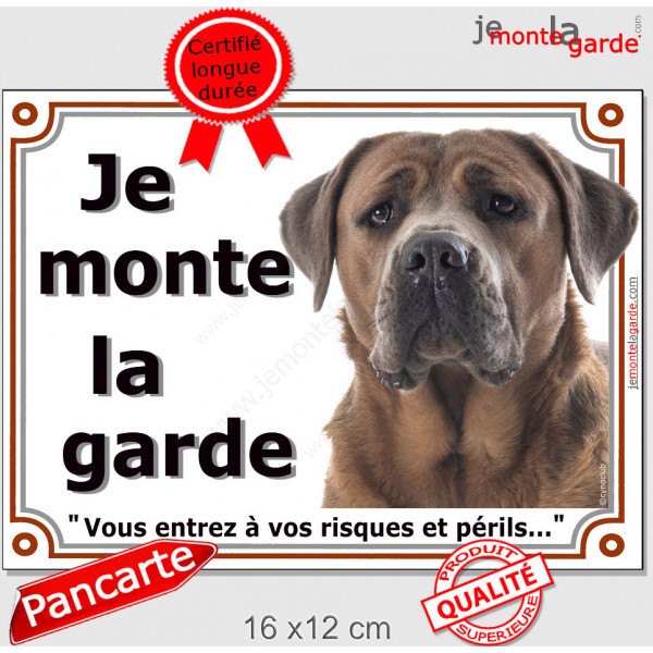 Cane Corso Italiano fauve marron, plaque portail "Je Monte la Garde, risques et périls" pancarte photo attention au Chien